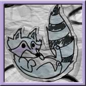 Raccoon Jump