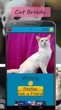 Cat Breeds: Cat Games Screen Shot 3