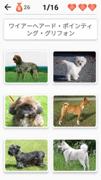 39/5000 犬のクイズ - 写真の中のすべての犬の品種を推測する Screen Shot 0