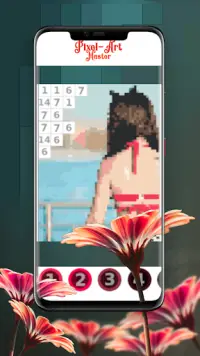 Pixel Art Master: colorear con números Screen Shot 1