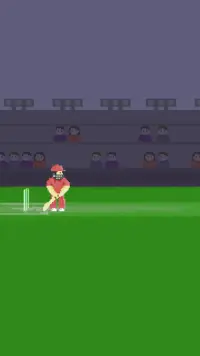 Pixel Cricket Game Screen Shot 0