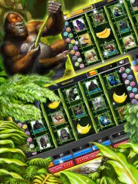 Gorilla King Slots Jungle Screen Shot 1