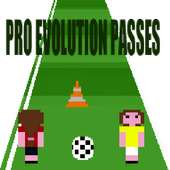 Pro Evolution Passes