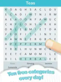 Word Search Puzzles   Free Screen Shot 5