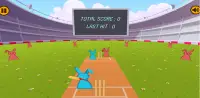 Bat Ball Cricket Screen Shot 1