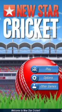 New Star: Cricket Screen Shot 0