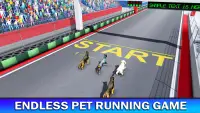Pet Dog Run Simulator - Greyhound Racing Game Screen Shot 1