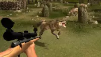 Sniper Wolf Hunter 2020 Screen Shot 2