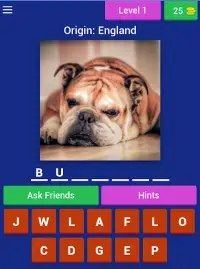 Dog Breed Quiz Game (Dog Game) Screen Shot 5