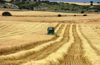 Farm wheat harvester puzzle Screen Shot 5