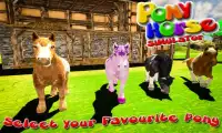 Pony Horse Simulator 2016 Screen Shot 3