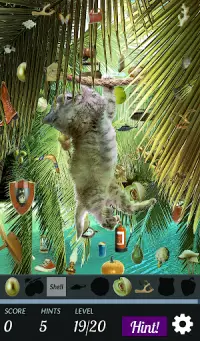 Hidden Object: Cat Island Adventure Screen Shot 5