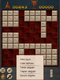 Wooden Block Puzzle Game Screen Shot 7