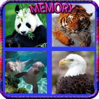 Memory Zoo