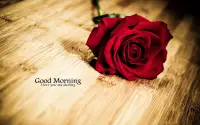 Good morning Images Gifs, Flowers Roses wallpapers Screen Shot 0