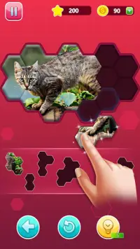 Hexa Jigsaw Epic Puzzle Screen Shot 5