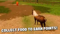 Farm Pony Horse Ride 3D Screen Shot 0