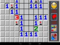 Color Minesweeper Screen Shot 7