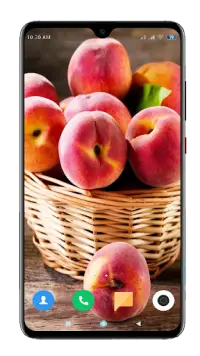 Fruit Wallpaper 4K Screen Shot 4