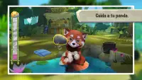 Mi panda rojo - Un bonito simulador animal Screen Shot 3