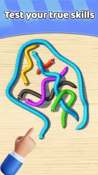 Tangled Snakes Puzzle Game Screen Shot 3