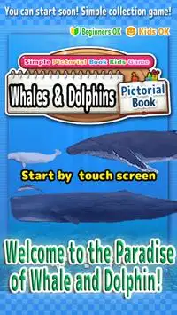 Whales Screen Shot 0
