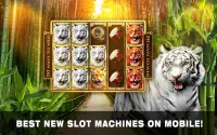 Slots Tiger King Casino Slots Screen Shot 11