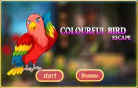 Évasion d'oiseaux colorés Screen Shot 2