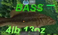 Fish or Die Single Player Lite Screen Shot 1