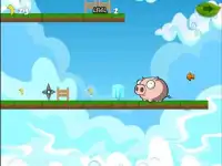 Angry Piggy Screen Shot 5