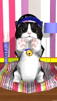 Kitty lovely 🐱 Virtual Pet Screen Shot 1