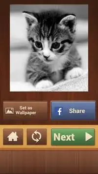 Cute Kitty Puzzle Games - Free Jigsaw Puzzles Screen Shot 4