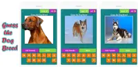 Guess Popular Dog Breeds Screen Shot 1