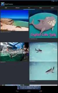 Shark Puzzles Screen Shot 4