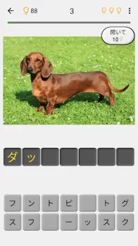 犬 - すべての一般的な犬の品種に関するクイズ Screen Shot 1