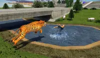 Angry Lion City Attack : Animal Hunting Simulator Screen Shot 5