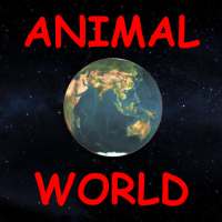 Animal World