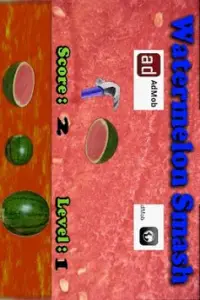 Watermelon Smash Screen Shot 1