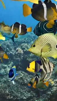 Happy Fish 3D Screen Shot 3