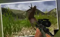 Deer Sniper Safari Hunt 2016 Screen Shot 2
