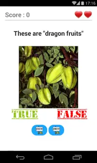 True or False? The Big Quiz Screen Shot 3
