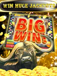 Buffalo Slot Machine Las Vegas Screen Shot 2