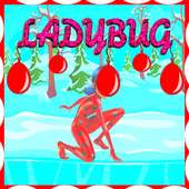 Ladybug Adventure  Mirac