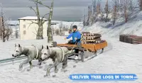 Śnieg Pies Sanki Transportować Gry Zima Sport Screen Shot 8