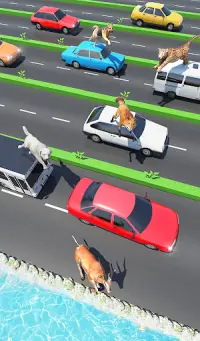 Animal Pets Traffic Highway Cross Screen Shot 5