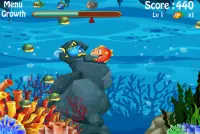 Fish Big Eat Fish Small Screen Shot 3