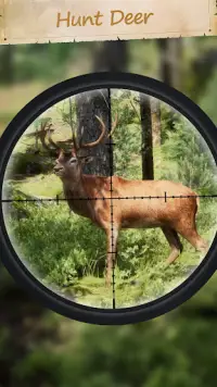 Hunting Sniper Screen Shot 0