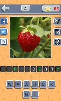 Guess Fruit Berry Screen Shot 3