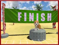 Cat Dog Pets Beach Stunts Sim Screen Shot 14