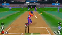 Bat & Ball: Play Cricket Games Screen Shot 0